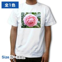 写真用Ｔシャツ ATH-151