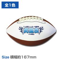ミニアメフトボール