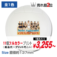 ミニバレーボール