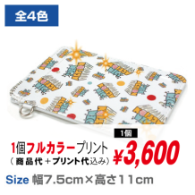 フラッシュパスケース