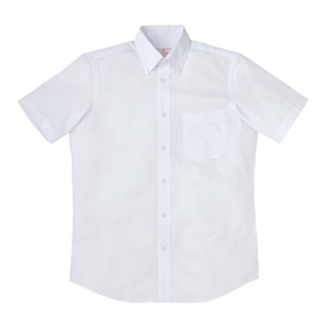 ホワイト ホワイト