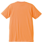 5.0オンス レギュラーフィットTシャツ 5401-01