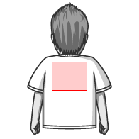 レディースTシャツ 背中大