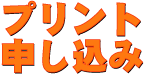 �s�V���c�v�����g�\���菇