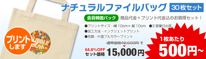 1枚あたり500円【ナチュラルファイルバッグ50枚セット】会員特価パック64.8％OFF！