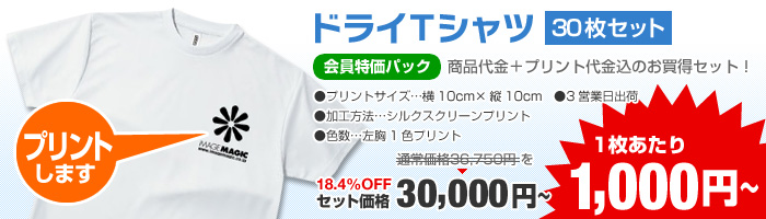 1枚あたり1,000円【ドライTシャツ30枚セット】会員特価パック18.4％OFF！