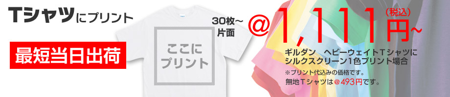 1枚あたり900円【ヘビーウェイトTシャツ30枚セット】会員特価パック49.9％OFF！